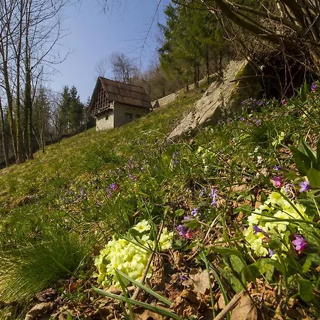 Casa Delle Noci * Grimacco