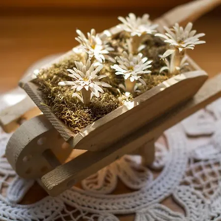 Casa de Férias Casa Delle Noci