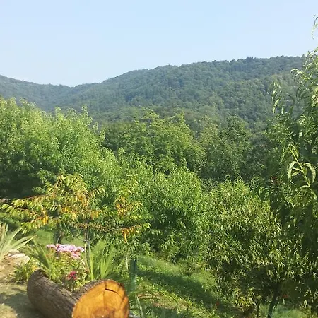 Casa Delle Noci Casa de Férias *