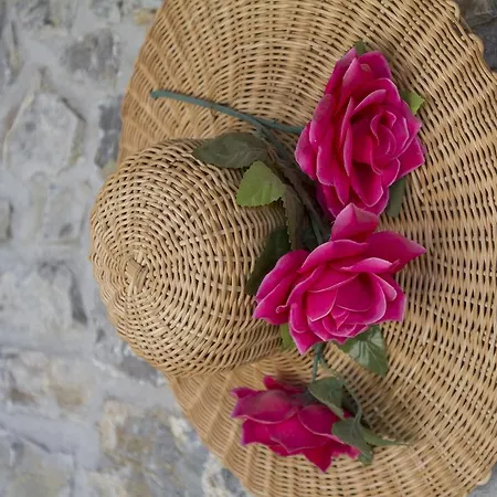 Casa Delle Noci Casa de Férias