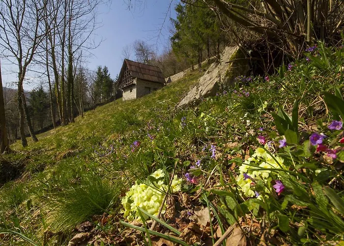 Casa Delle Noci * Grimacco